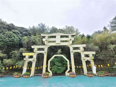 禪機山|南投國姓｜禪機山仙佛寺：秒飛京都，濃濃日式禪意！五百羅漢超 